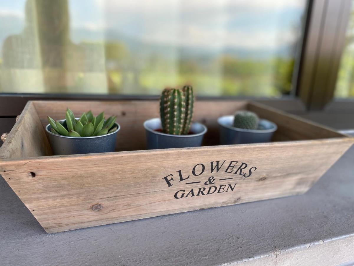 Flowers & Garden Apartment Con Vista Lago Манерба-дель-Гарда Экстерьер фото